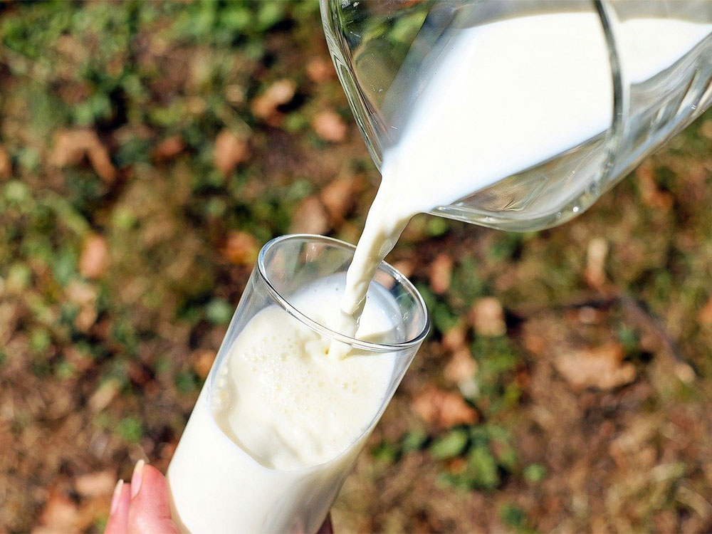 Naturel, d’origine laitière française