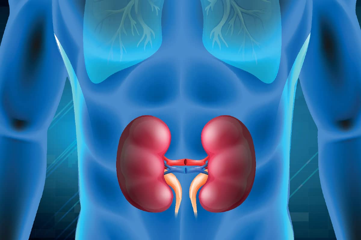 Diabetic Nephropathy and Other Kidney Diseases